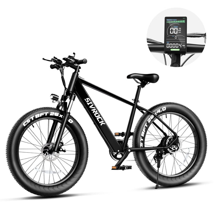 Professional Electric Mountain Bike for Adults