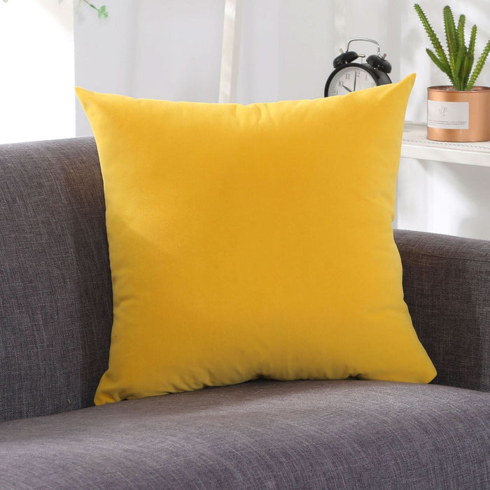 Large Simple Cushion