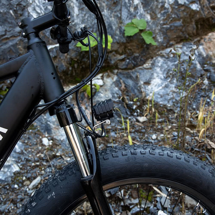 Professional Electric Mountain Bike for Adults