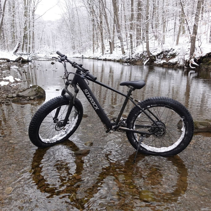 Professional Electric Mountain Bike for Adults