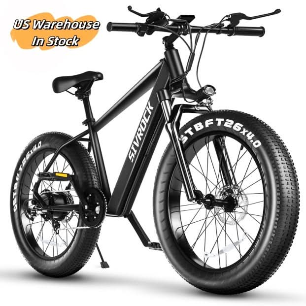 Professional Electric Mountain Bike for Adults