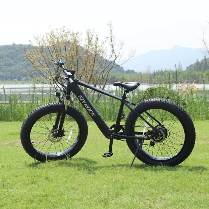 Professional Electric Mountain Bike for Adults