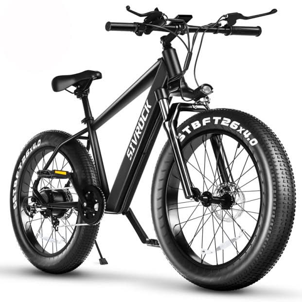 Professional Electric Mountain Bike for Adults