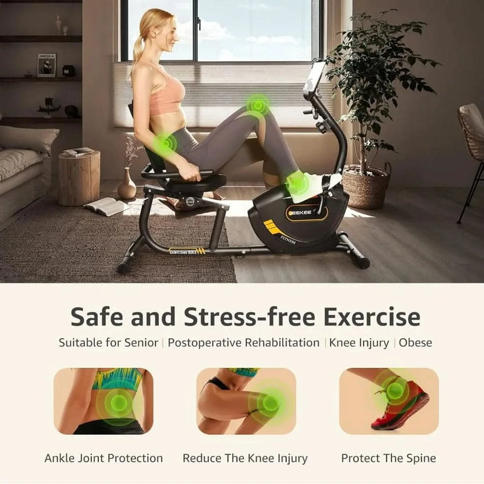 YTYIN Recumbent Exercise Bike