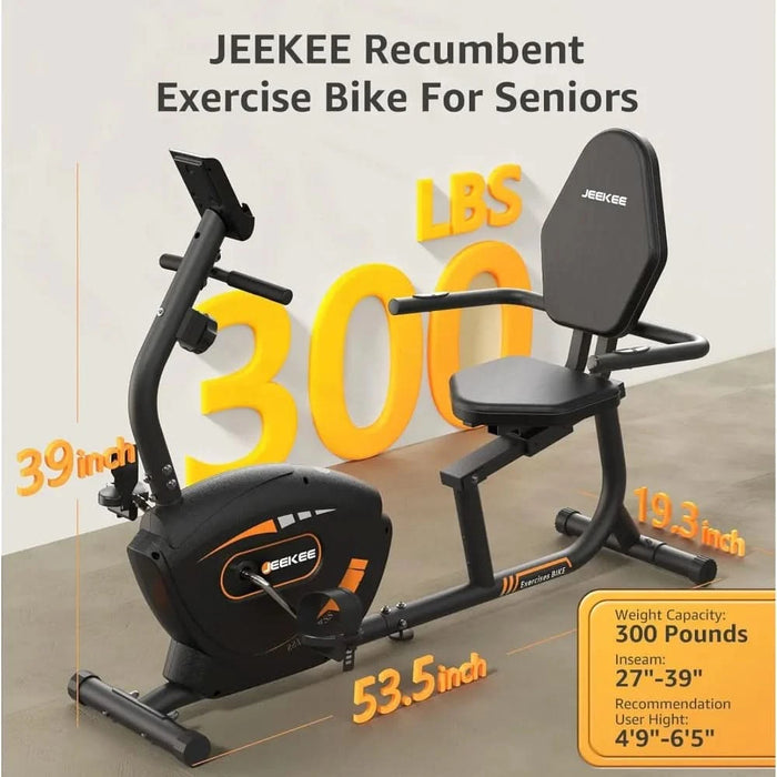 YTYIN Recumbent Exercise Bike