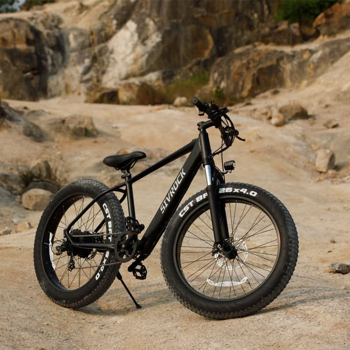 Professional Electric Mountain Bike for Adults